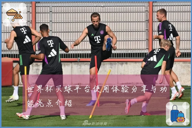 世界杯买球平台使用体验分享与功能亮点介绍