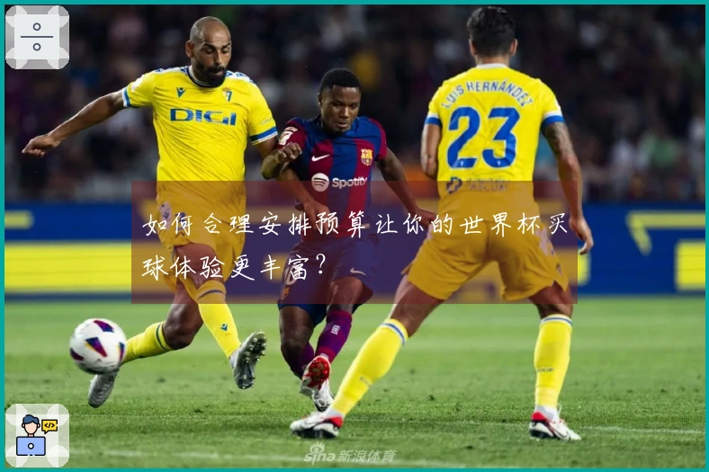 如何合理安排预算让你的世界杯买球体验更丰富？