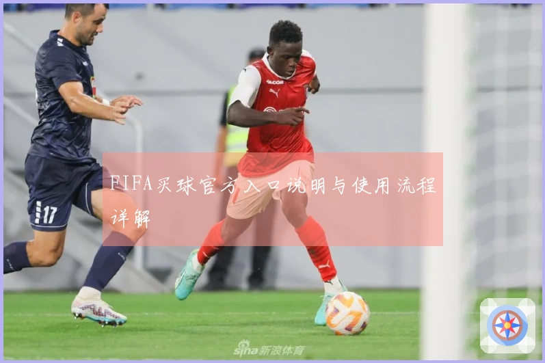FIFA买球官方入口说明与使用流程详解