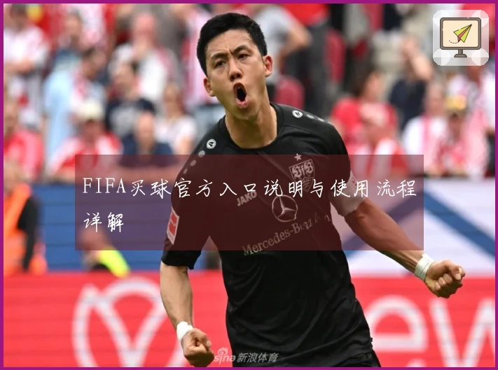 FIFA买球官方入口说明与使用流程详解