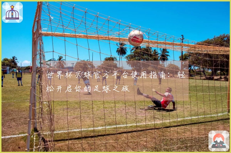 世界杯买球官方平台使用指南：轻松开启你的足球之旅