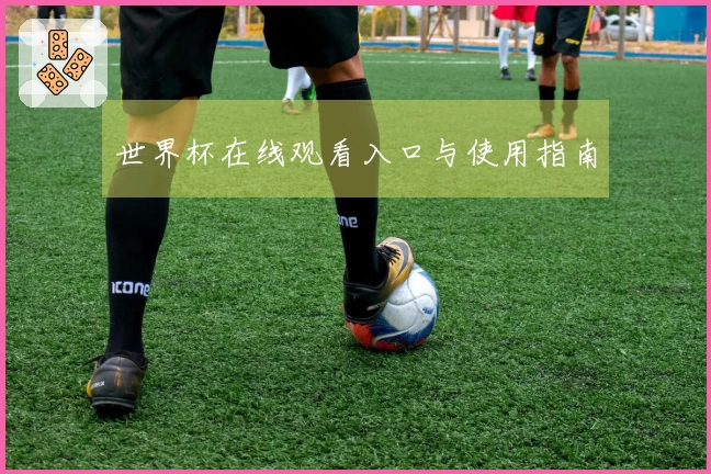 世界杯在线观看入口与使用指南