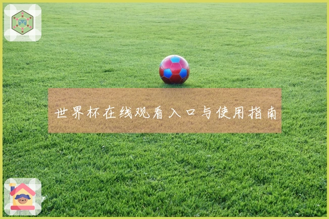 世界杯在线观看入口与使用指南
