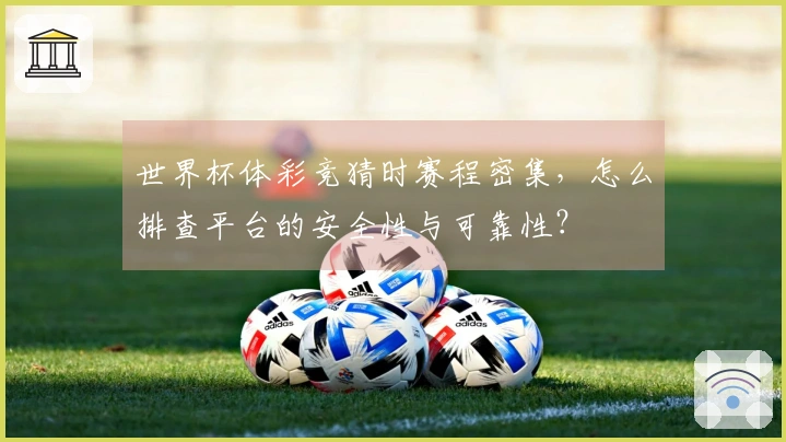 世界杯体彩竞猜时赛程密集，怎么排查平台的安全性与可靠性？