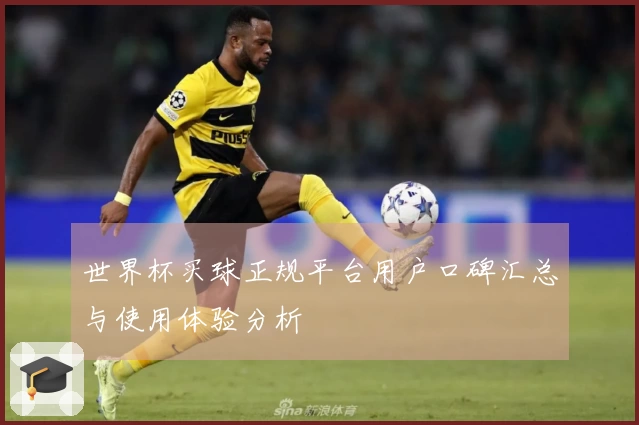 世界杯买球正规平台用户口碑汇总与使用体验分析