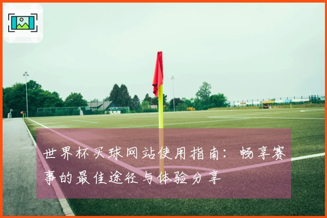 世界杯买球网站使用指南：畅享赛事的最佳途径与体验分享