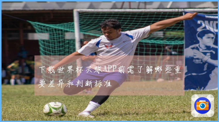 下载世界杯买球APP前需了解哪些重要差异和判断标准
