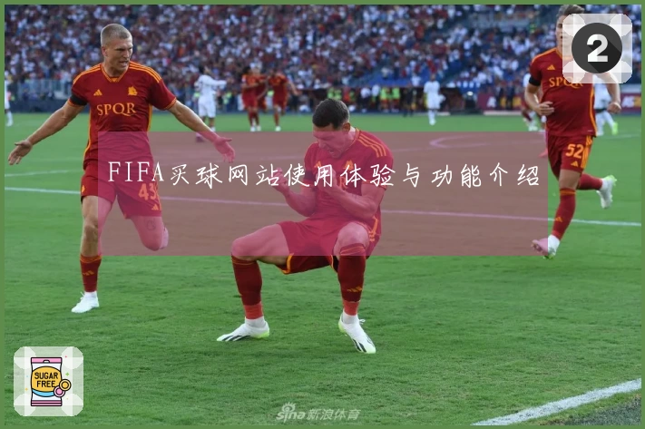 FIFA买球网站使用体验与功能介绍
