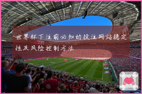 世界杯下注前必知的投注网站稳定性及风险控制方法