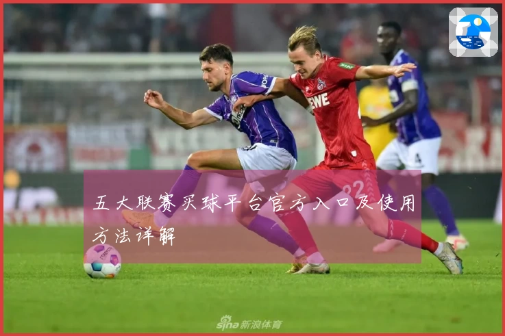 五大联赛买球平台官方入口及使用方法详解