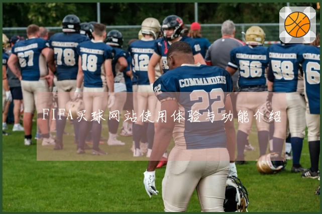 FIFA买球网站使用体验与功能介绍