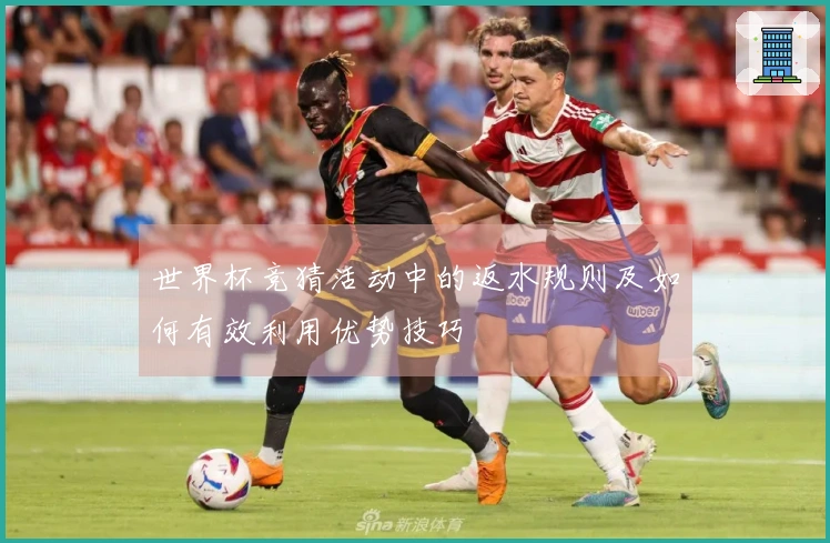 世界杯竞猜活动中的返水规则及如何有效利用优势技巧